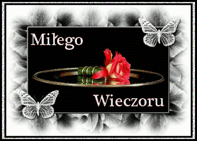 Czerwona samotna różyczka miłego wieczoru
